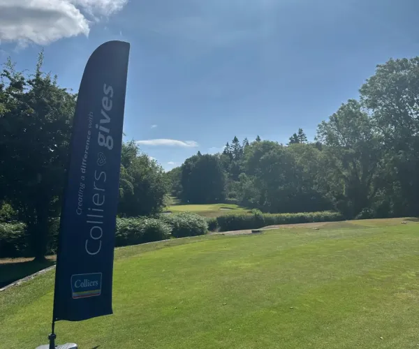 BPAA golf day swings to success
