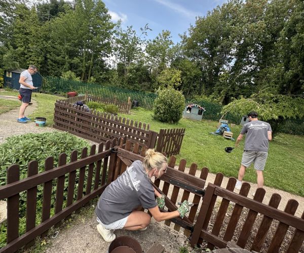 BPAA Volunteer day at everyFamily