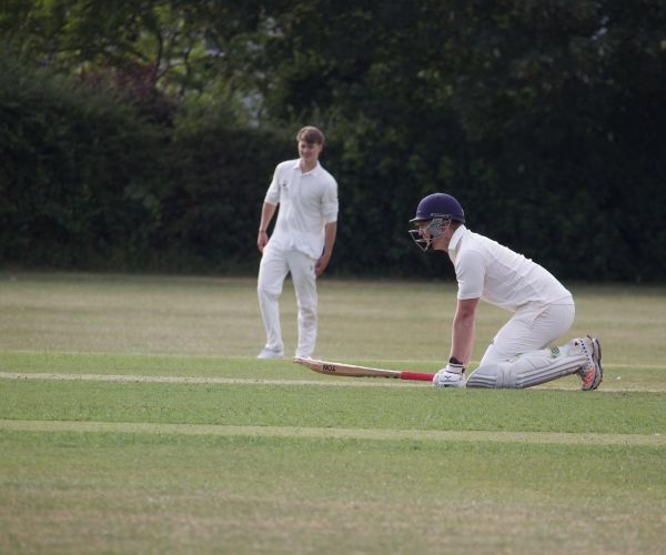 Sheds regain bragging rights and the ‘BPAA Cricket trophy’